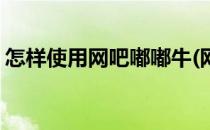 怎样使用网吧嘟嘟牛(网吧嘟嘟牛可以通用吗)