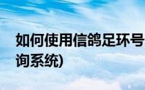 如何使用信鸽足环号查询成绩(信鸽足环号查询系统)