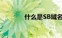 什么是SB域名(sb域名后缀)