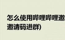 怎么使用哔哩哔哩邀请码(怎么使用哔哩哔哩邀请码进群)