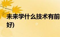 未来学什么技术有前途(未来发展学什么技术好)