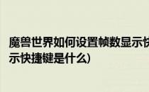 魔兽世界如何设置帧数显示快捷键(魔兽世界如何设置帧数显示快捷键是什么)