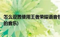 怎么设置使用王者荣耀语音包(怎么设置使用王者荣耀语音包的音乐)