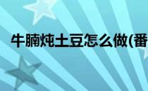 牛腩炖土豆怎么做(番茄牛腩炖土豆怎么做)