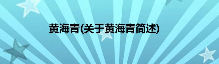 黄海青(关于黄海青简述)