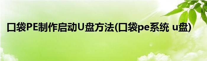 口袋PE制作启动U盘方法(口袋pe系统 u盘)