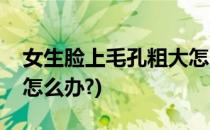女生脸上毛孔粗大怎么办(女生脸上毛孔粗大怎么办?)