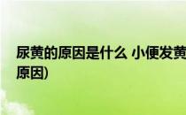 尿黄的原因是什么 小便发黄是怎么回事(小便尿很黄是什么原因)