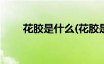 花胶是什么(花胶是什么原料做成的)
