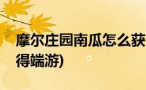 摩尔庄园南瓜怎么获得(摩尔庄园南瓜怎么获得端游)