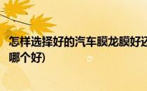 怎样选择好的汽车膜龙膜好还是量子膜好(汽车量子膜和龙膜哪个好)