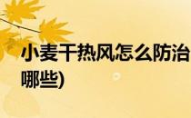 小麦干热风怎么防治(小麦干热风防御措施有哪些)