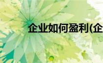 企业如何盈利(企业如何盈利论文)