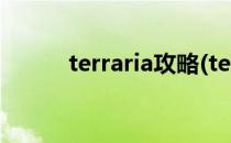 terraria攻略(terraria攻略大全)