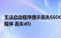 无法启动程序提示丢失SSOCommon.DLL怎么办(无法启动程序 丢失dll)