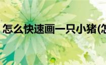 怎么快速画一只小猪(怎么快速画一只小猪崽)