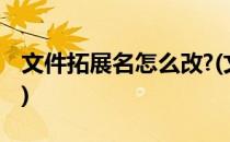 文件拓展名怎么改?(文件拓展名怎么改?win7)