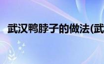 武汉鸭脖子的做法(武汉鸭脖子的做法大全)