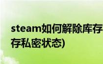 steam如何解除库存私密状态(steam显示库存私密状态)