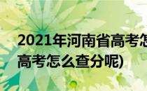 2021年河南省高考怎么查分(2021年河南省高考怎么查分呢)
