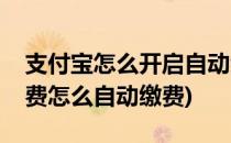 支付宝怎么开启自动缴费水电煤(支付宝水电费怎么自动缴费)