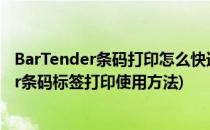 BarTender条码打印怎么快速指定要打印的内容(bartender条码标签打印使用方法)