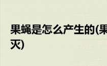 果蝇是怎么产生的(果蝇是怎么产生的,怎么消灭)