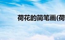 荷花的简笔画(荷花的简笔画图片)