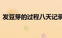 发豆芽的过程八天记录(发豆芽7天过程记录)