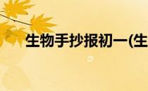 生物手抄报初一(生物手抄报初一上册)