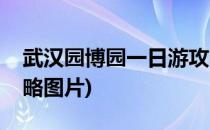 武汉园博园一日游攻略(武汉园博园一日游攻略图片)