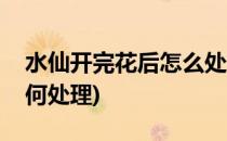 水仙开完花后怎么处理方法(水仙开完花后如何处理)