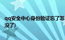 qq安全中心身份验证忘了怎么办(qq安全中心登录验证怎么没了)