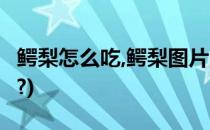 鳄梨怎么吃,鳄梨图片,鳄梨是什么(鳄梨是什么?)
