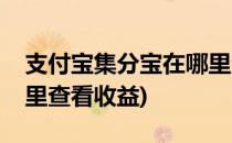 支付宝集分宝在哪里查看(支付宝集分宝在哪里查看收益)