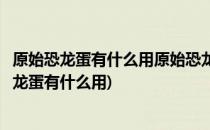 原始恐龙蛋有什么用原始恐龙蛋能开出什么(魔兽世界原始恐龙蛋有什么用)