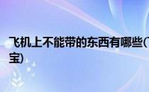 飞机上不能带的东西有哪些(飞机上不能带的东西有哪些充电宝)