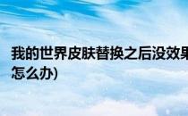 我的世界皮肤替换之后没效果(我的世界皮肤替换之后没效果怎么办)