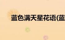 蓝色满天星花语(蓝色满天星花语文案)