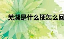 芜湖是什么梗怎么回(芜湖到底是什么梗)