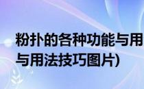 粉扑的各种功能与用法技巧(粉扑的各种功能与用法技巧图片)