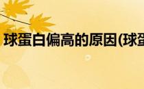 球蛋白偏高的原因(球蛋白偏低的原因是什么)