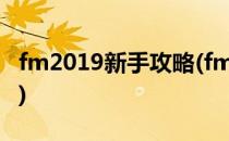 fm2019新手攻略(fm2020新手攻略新手入门)