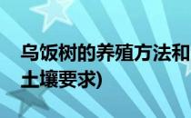 乌饭树的养殖方法和注意事项(乌饭树种植对土壤要求)
