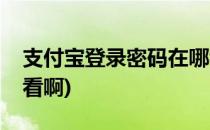 支付宝登录密码在哪看(支付宝登录密码在哪看啊)