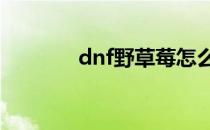 dnf野草莓怎么得(DNF草莓)