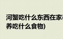 河蟹吃什么东西在家养#校园分享#(螃蟹在家养吃什么食物)