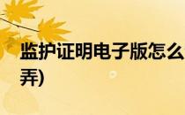 监护证明电子版怎么查(电子版监护证明怎么弄)