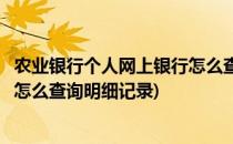 农业银行个人网上银行怎么查询明细(农业银行个人网上银行怎么查询明细记录)