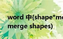 word 中{shape*mergeformat}怎么解决(merge shapes)
